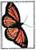 Viceroy
